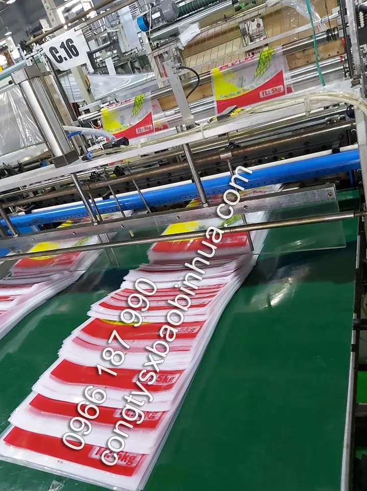 Túi PE in logo thương hiệu và họa tiết ngày tết - Ảnh 2