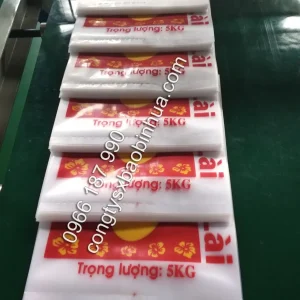 Túi PE in logo thương hiệu và họa tiết ngày tết
